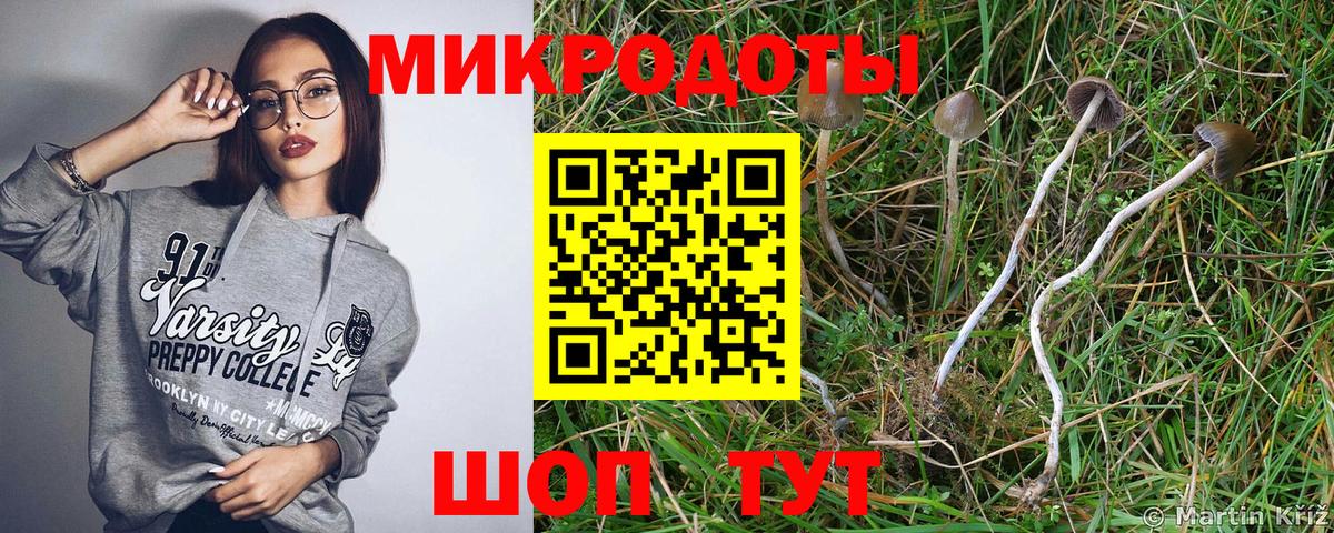 Галлюциногенные грибы Ивантеевка