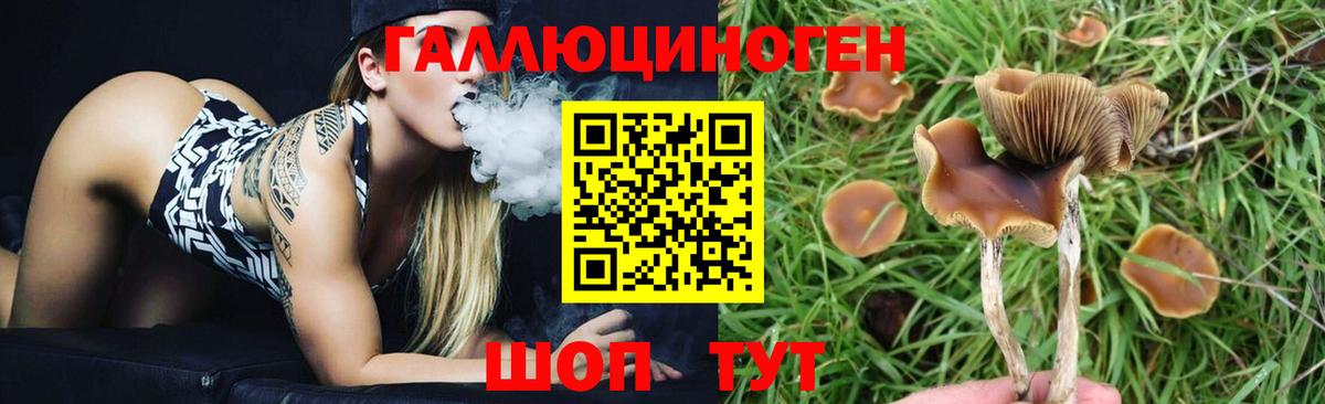 Ивантеевка  Галлюциногенные грибы GOLDEN TEACHER  Псилоцибиновые грибы Psilocybine cubensis  Вход с VPN 